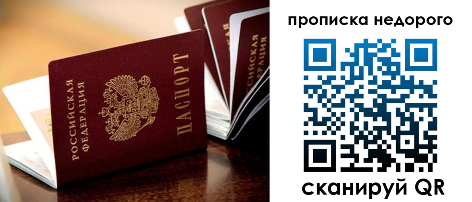 временная прописка в Жуковском